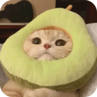 9:1短视频APP应用